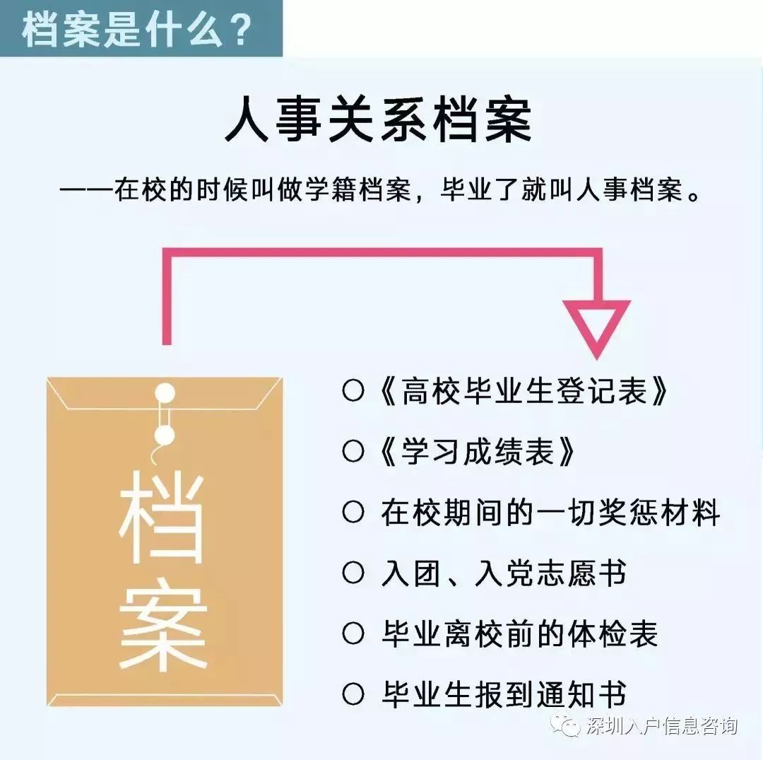 檔案人員補貼最新觀點論述，探討補貼政策與檔案人員發(fā)展的關系