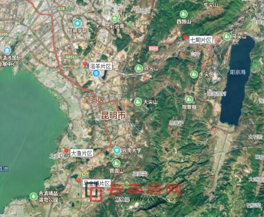 呈貢區(qū)發(fā)展動態(tài)，巷弄深處的驚喜探索特色小店發(fā)展消息