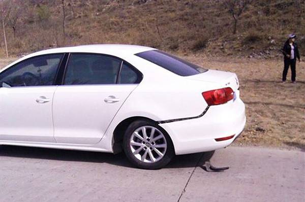 速騰斷軸最新進(jìn)展與小巷深處的匠心獨(dú)運(yùn)