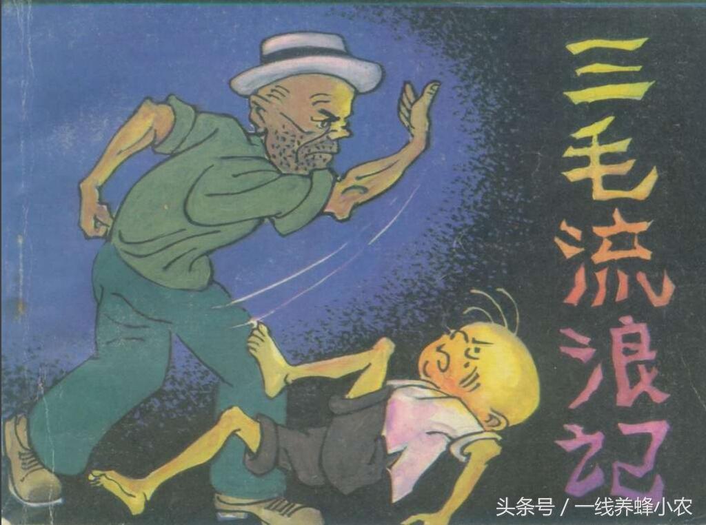 上海三毛最新動態(tài)，自然美景探索之旅啟幕