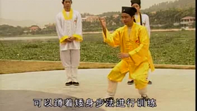 太極最新音樂(lè)，傳統(tǒng)與現(xiàn)代的完美融合藝術(shù)展現(xiàn)