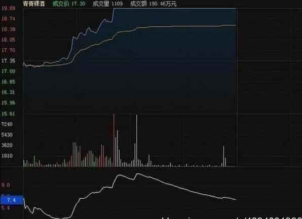 胡立陽最新探索，自然美景的治愈之旅