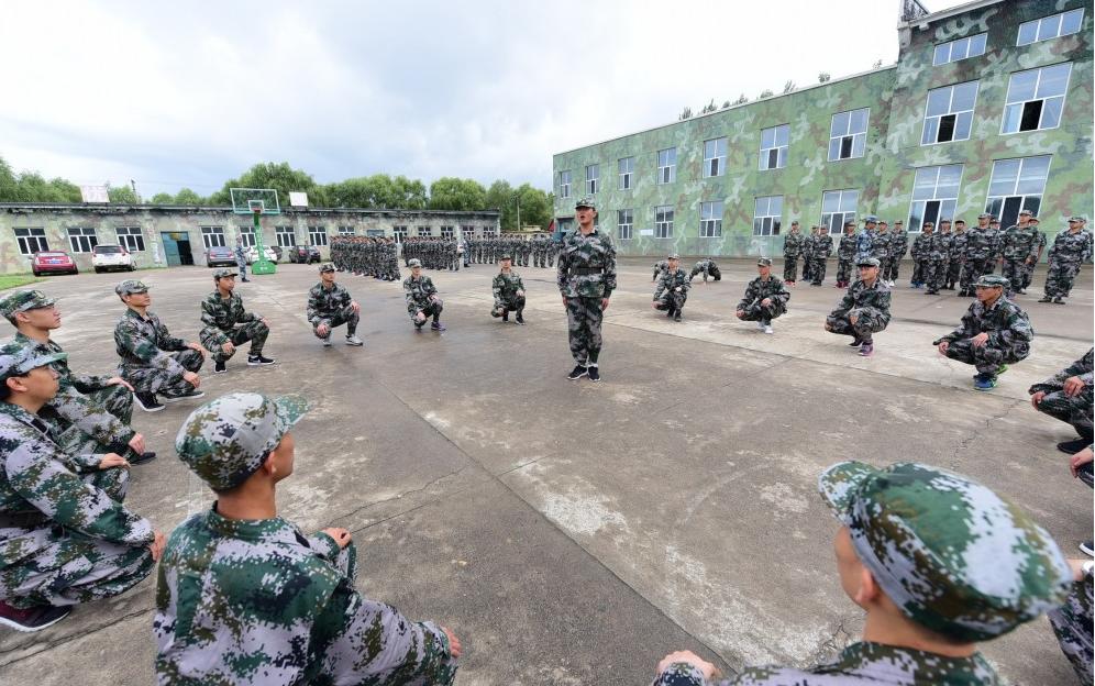 遼寧人才網(wǎng)最新招聘，時(shí)代脈搏與人才匯聚的交匯點(diǎn)