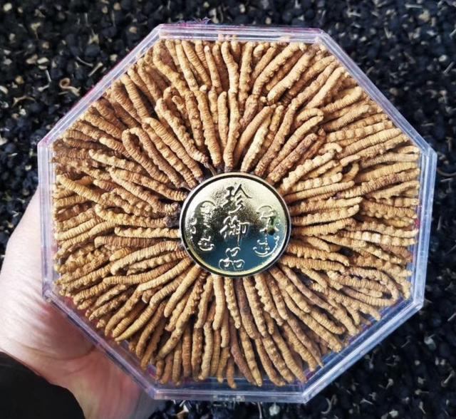 謝干最新價(jià)格及知識價(jià)值展現(xiàn)自信閃耀的魅力