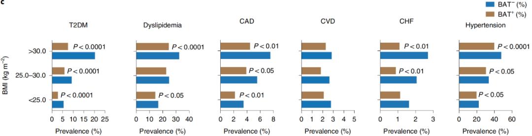 腦疾病最新研究，重塑大腦信心與成就感之路