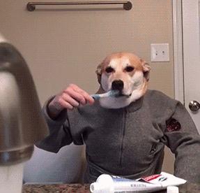 小巷獨(dú)特風(fēng)情小店的最新原創(chuàng)個(gè)性簽名