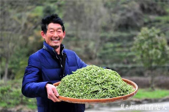 最新夷陵新聞，探索自然美景的旅程，尋覓內(nèi)心平和之地