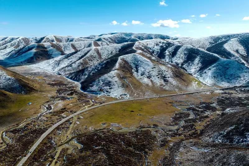 蘭西最新新聞，學(xué)習(xí)之光，自信與成就感的源泉