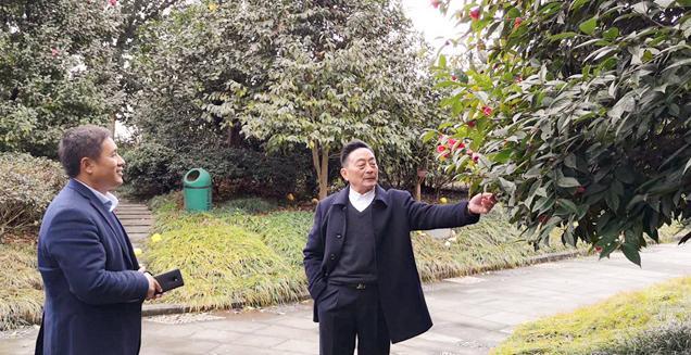 最新花木求購(gòu)，開啟一場(chǎng)尋綠之旅的溫馨旅程