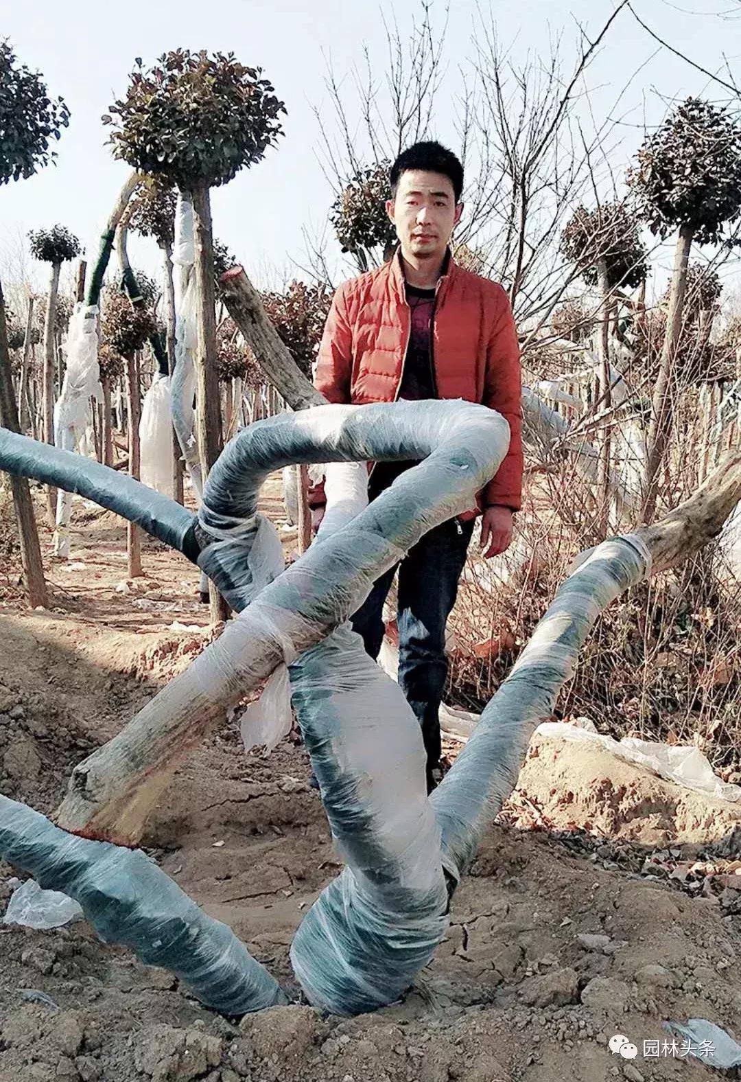 定州最新急招工，時(shí)代的呼喚與行業(yè)重塑的挑戰(zhàn)