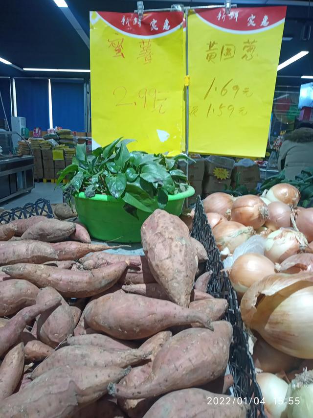 最新地瓜價格解析，查詢指南與任務(wù)攻略