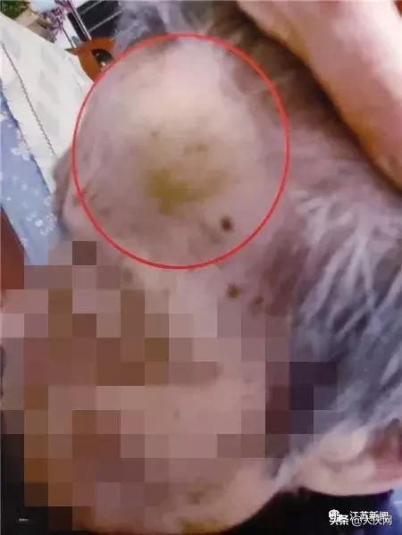 揪脖子最新視頻，探秘小巷風(fēng)情小店，獨家揭秘！