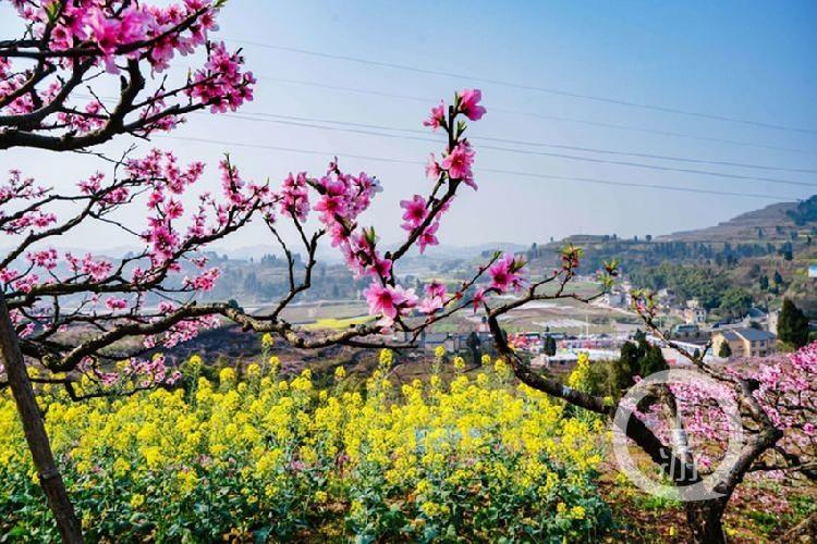 合川最新科技新聞，高科技產(chǎn)品引領(lǐng)未來生活潮流