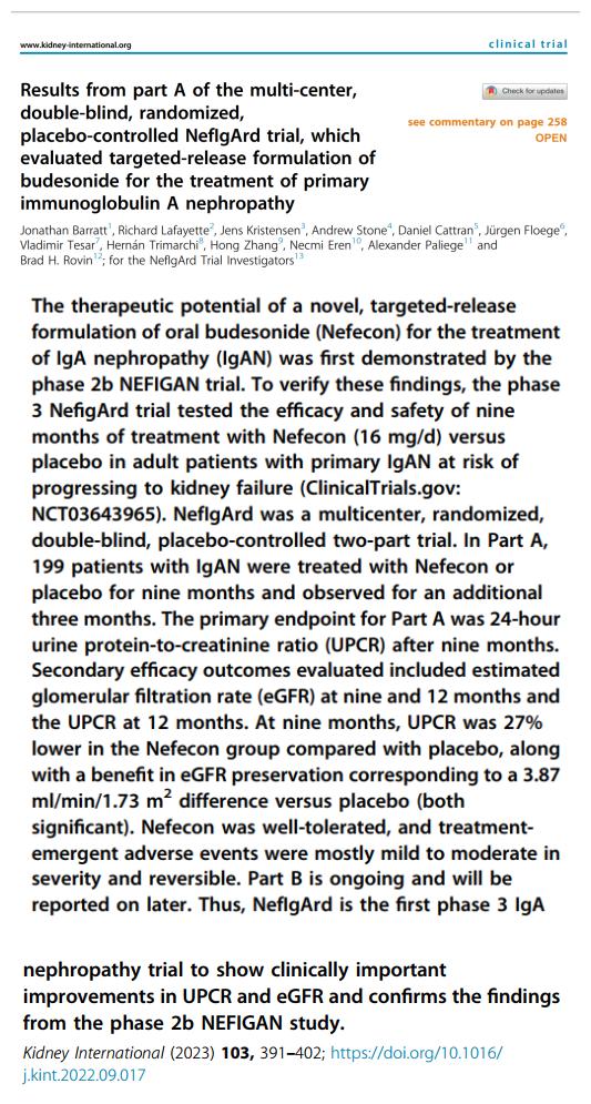 IGA腎病最新突破，醫(yī)學奇跡在小店中綻放的獨特魅力