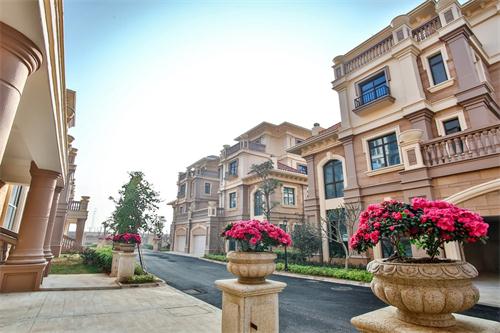 新泰最新樓盤，城市發(fā)展與居住品質(zhì)的新篇章