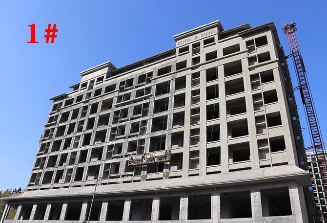 平輿最新樓盤市場現(xiàn)狀與前景展望，深度解析市場趨勢與發(fā)展前景展望