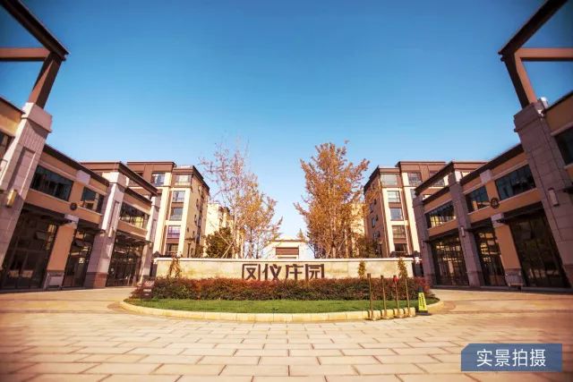 鳳儀莊園最新動態(tài)，家的溫馨與友情的綻放時刻