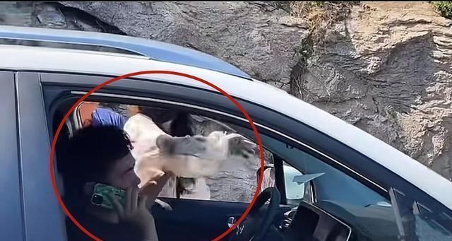 奔馳最新廣告，小明的溫情之旅啟程了