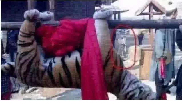 最新打虎消息，探尋內心平靜的打虎之旅