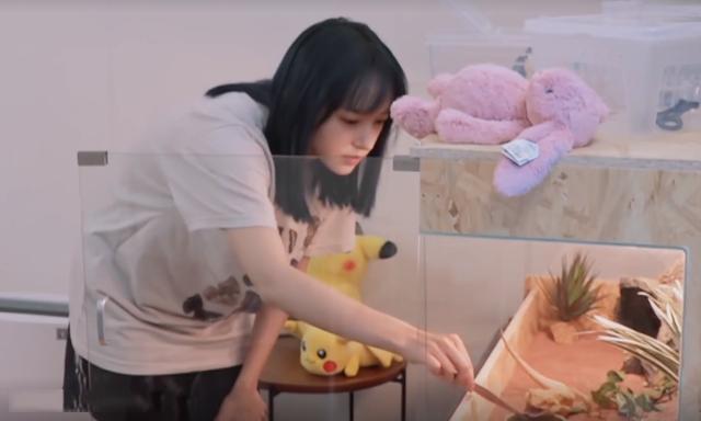 程瀟最新綜藝節(jié)目，心動瞬間，不容錯過！?