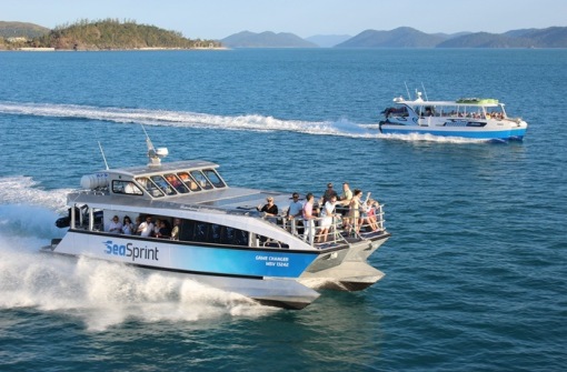 時(shí)代背景下的璀璨星辰，最新號號天堂綜述