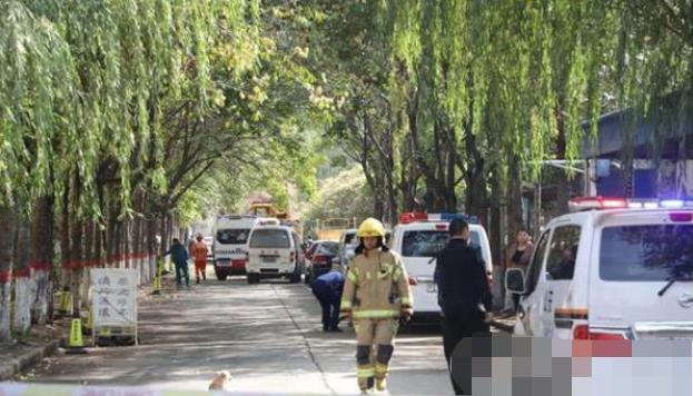 安陽最新事件，溫馨日常與不期而遇的友情之旅