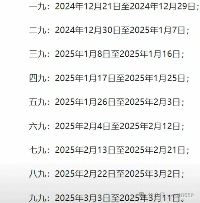 最新久久網(wǎng)2025，友情小船與溫馨日常的交織