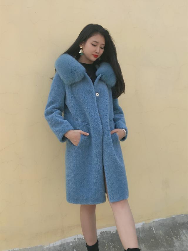 三七花最新價格揭秘，溫馨小故事中的尋找之旅