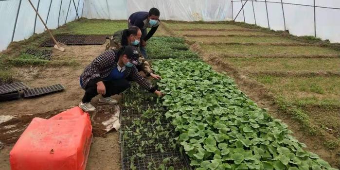 策勒最新招聘啟航人才新篇章，學(xué)習(xí)變化，擁抱自信與成就，啟程人生新征程！