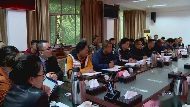 德昌最新新聞，擁抱自然，心靈寧靜之旅啟程