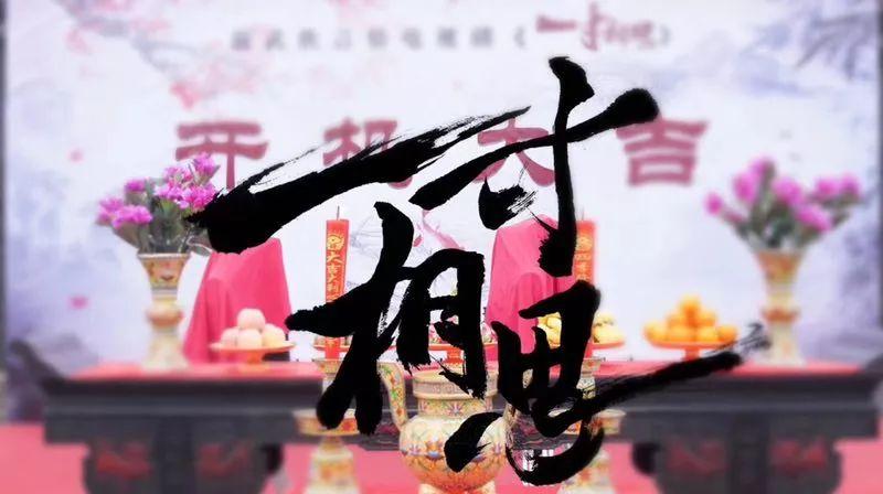 紫微流年最新小說探秘之旅