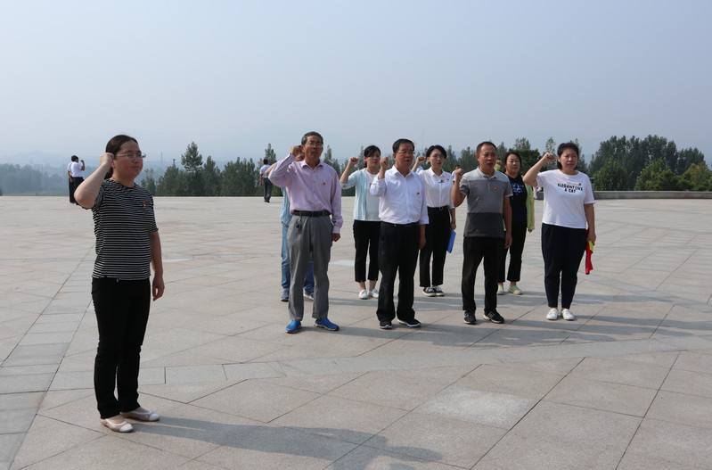 肥城房產(chǎn)最新動態(tài)，市場走勢、熱門區(qū)域與案例分析