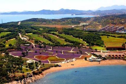 心悅海島探險(xiǎn)攻略，最新任務(wù)指南與探險(xiǎn)體驗(yàn)