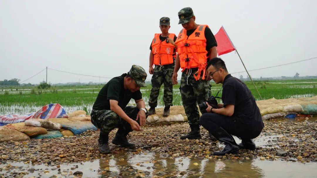 永修最新聞，背景探尋與時代地位的重要事件回顧