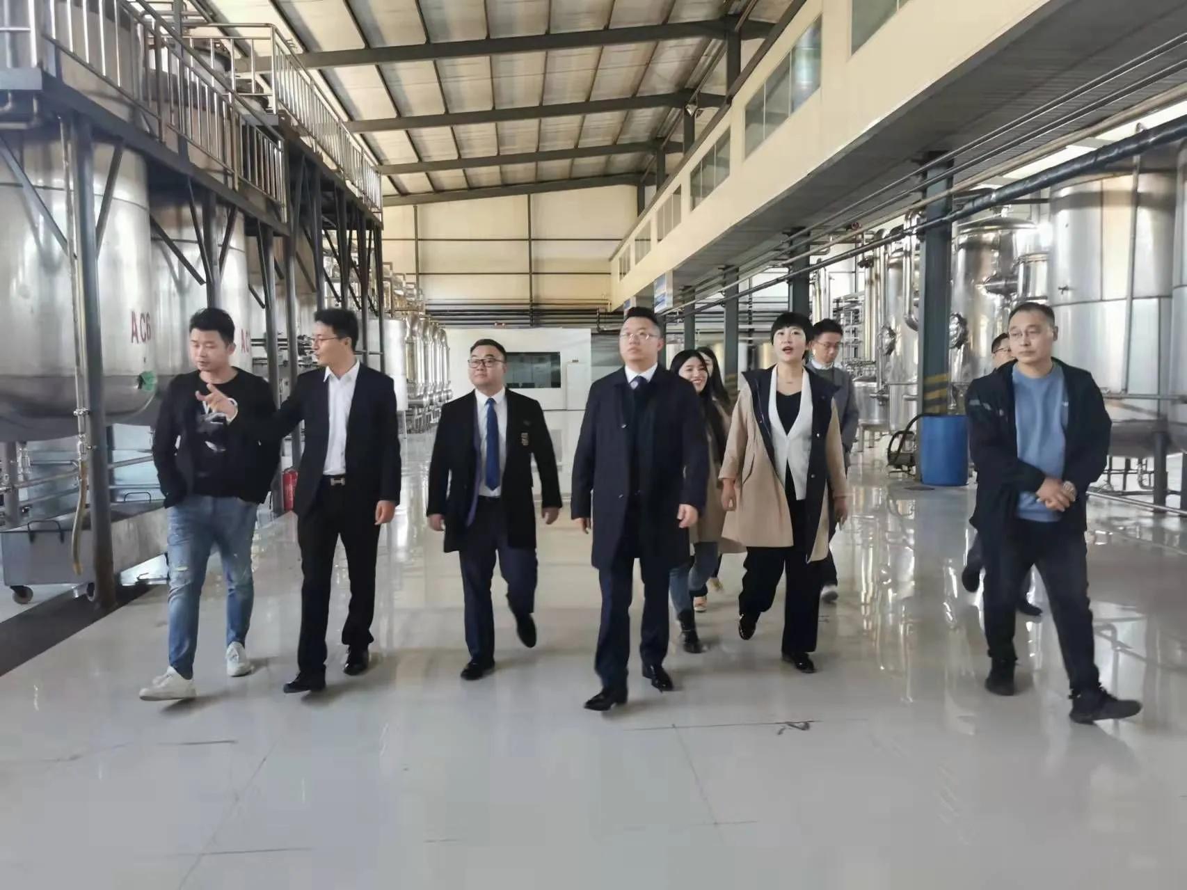 鼎恒升最新動(dòng)態(tài)，追溯特定領(lǐng)域的發(fā)展歷程與重要地位