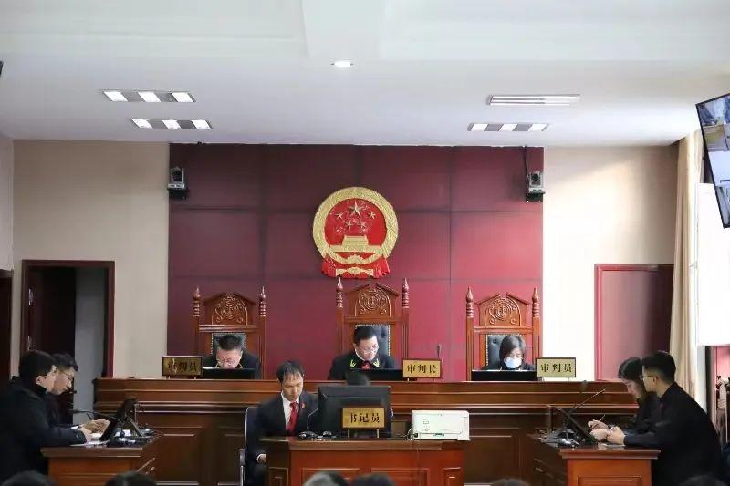 偏關(guān)最新案件深度解析，揭示真相，關(guān)注社會(huì)公正與公平