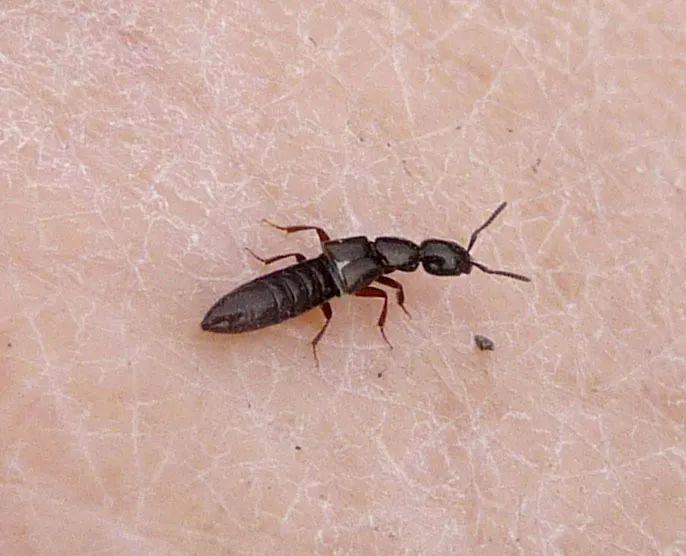 高效應(yīng)對問題關(guān)鍵策略，最新處理方法詳解