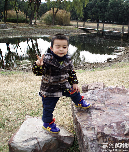 小六最新，時代背景下的重要印記與事件回顧