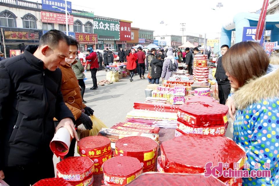 淘元素最新，淘淘的奇妙冒險之旅與友情的溫暖體驗
