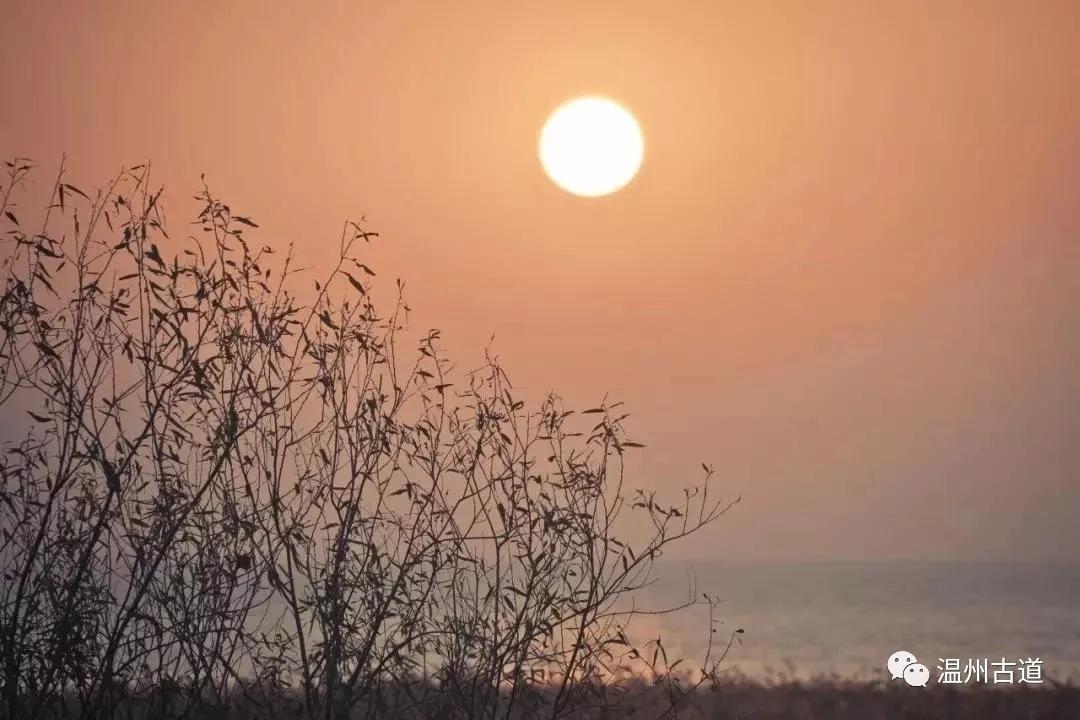 最新瘟疫詩詞，時(shí)代之聲與人文關(guān)懷的交融展現(xiàn)