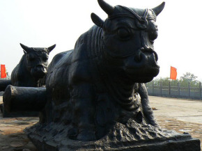 鐵牛視頻最新精彩呈現(xiàn)，領(lǐng)略與眾不同的世界！