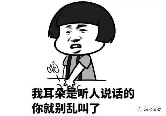 最新枕邊笑話，科技小寶貝，生活添樂趣