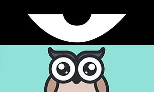 最新積目，全面解讀與觀點闡述