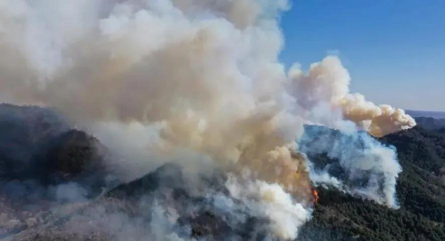 榆社山火防控指南，從初學者到進階用戶的全步驟學習與防火任務實踐