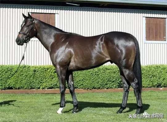 卡拉卡最新指南，任務(wù)完成與技能學習步驟攻略