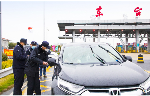 東臺肺炎最新情況，背景、事件、影響與時代地位概述