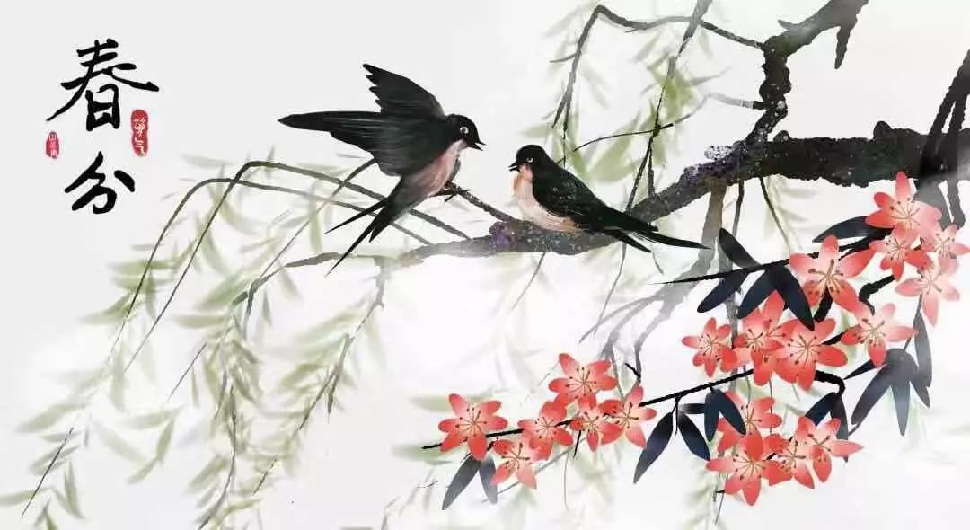 春分最新圖片，展現(xiàn)自然之美的瞬間