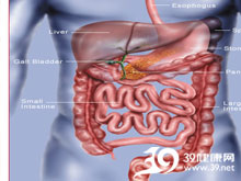 高科技產(chǎn)品重塑生活，體驗前沿魅力，探索腸鳴最新技術