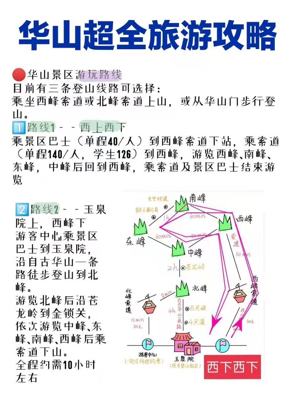 華山旅游最新探秘，小巷中的獨特風味之旅