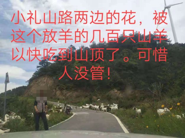 大悟最新路，探索未知，自信成就夢(mèng)想之旅的啟程